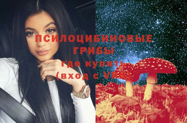 дурь Алзамай