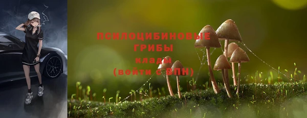 а пвп мука Абаза