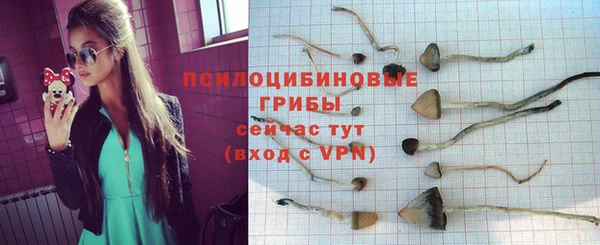 МДПВ Ступино