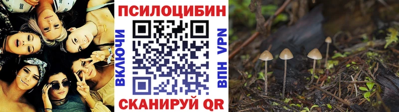 Галлюциногенные грибы Psilocybe  Брюховецкая 